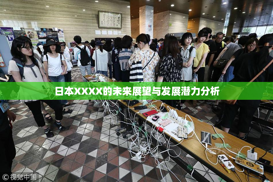 日本XXXX的未来展望与发展潜力分析