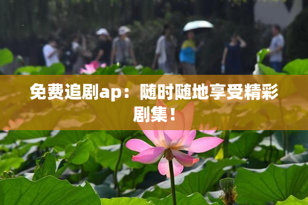 免费追剧ap：随时随地享受精彩剧集！