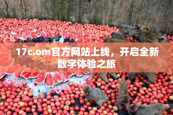 17c.om官方网站上线，开启全新数字体验之旅