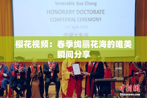樱花视频：春季绚丽花海的唯美瞬间分享
