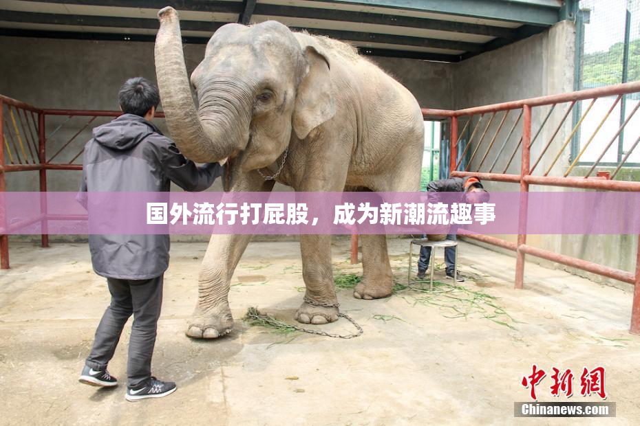 国外流行打屁股，成为新潮流趣事