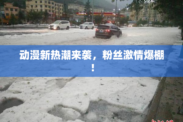 动漫新热潮来袭，粉丝激情爆棚！