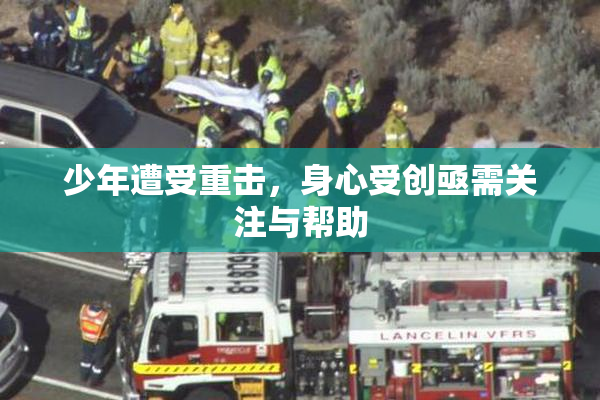 少年遭受重击，身心受创亟需关注与帮助