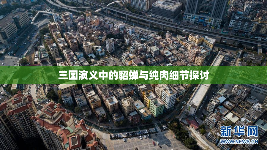 三国演义中的貂蝉与纯肉细节探讨