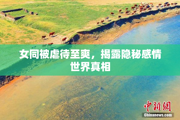 女同被虐待至爽，揭露隐秘感情世界真相