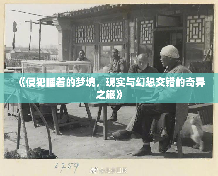 《侵犯睡着的梦境，现实与幻想交错的奇异之旅》