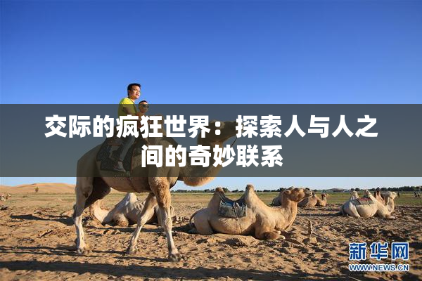 交际的疯狂世界：探索人与人之间的奇妙联系