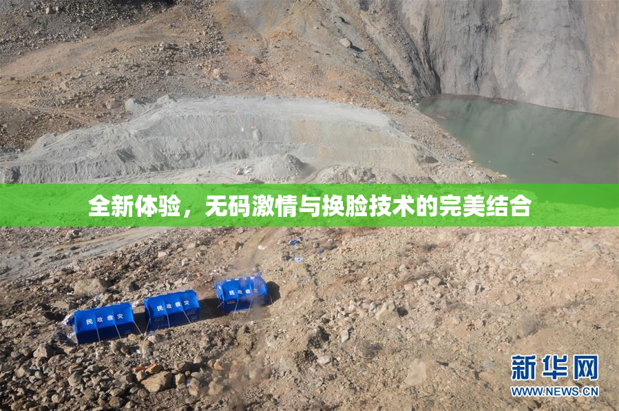 全新体验，无码激情与换脸技术的完美结合