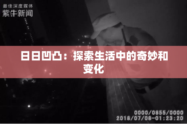 日日凹凸：探索生活中的奇妙和变化