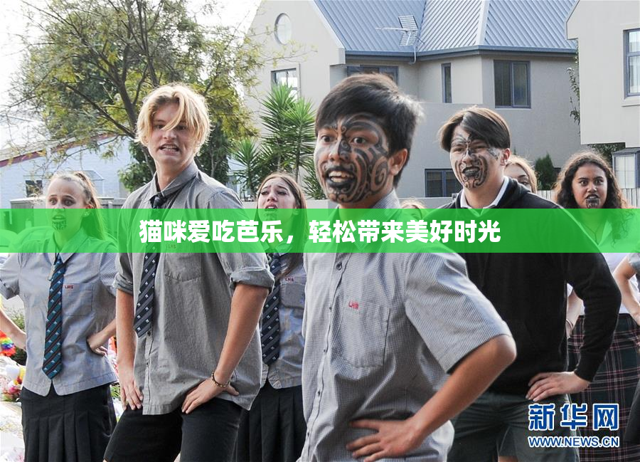 猫咪爱吃芭乐，轻松带来美好时光