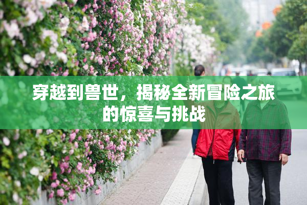 穿越到兽世，揭秘全新冒险之旅的惊喜与挑战