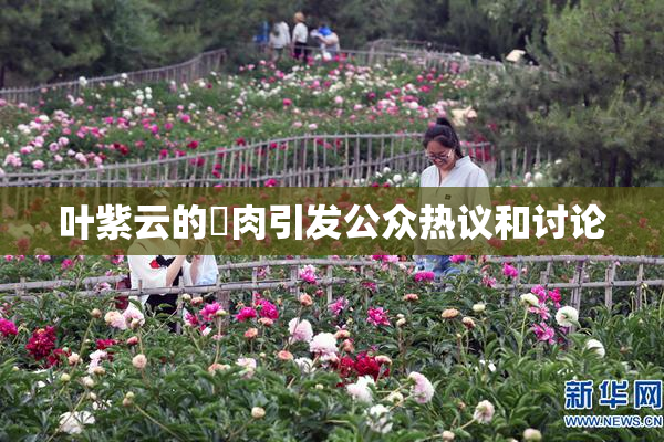 叶紫云的婬肉引发公众热议和讨论