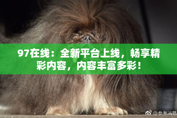 97在线：全新平台上线，畅享精彩内容，内容丰富多彩！