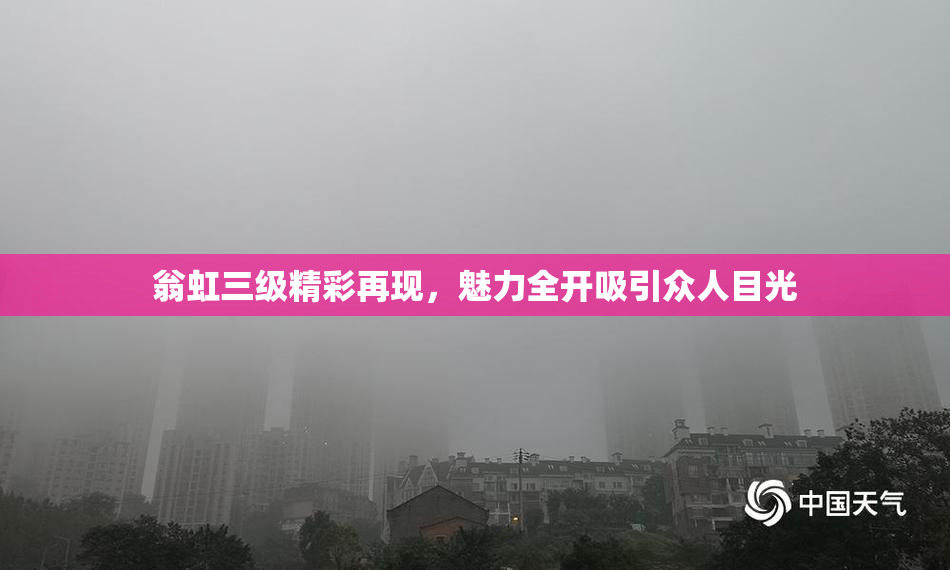 翁虹三级精彩再现，魅力全开吸引众人目光