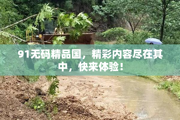 91无码精品国，精彩内容尽在其中，快来体验！