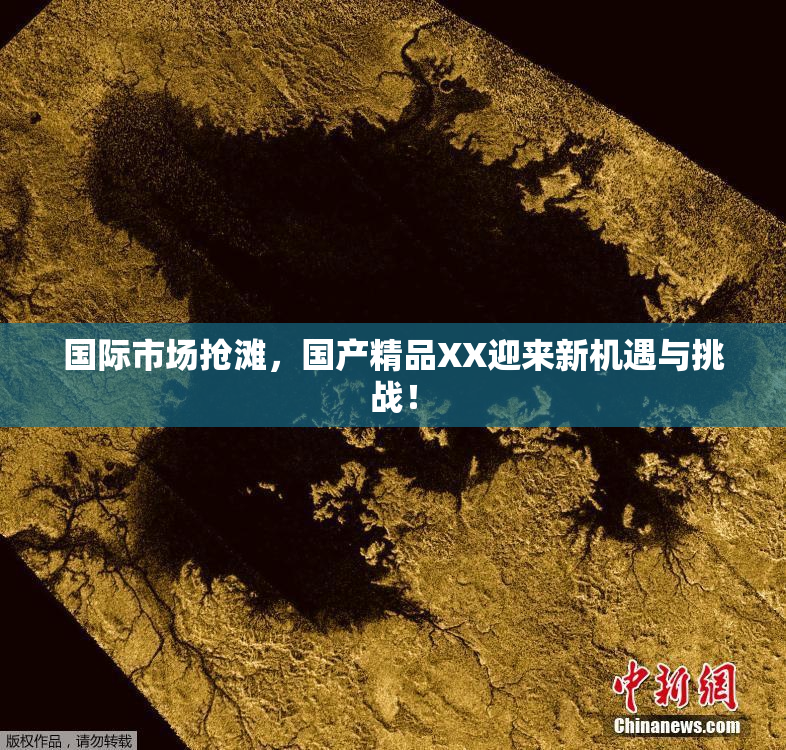 国际市场抢滩，国产精品XX迎来新机遇与挑战！