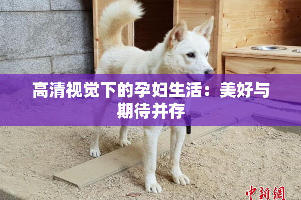 高清视觉下的孕妇生活：美好与期待并存