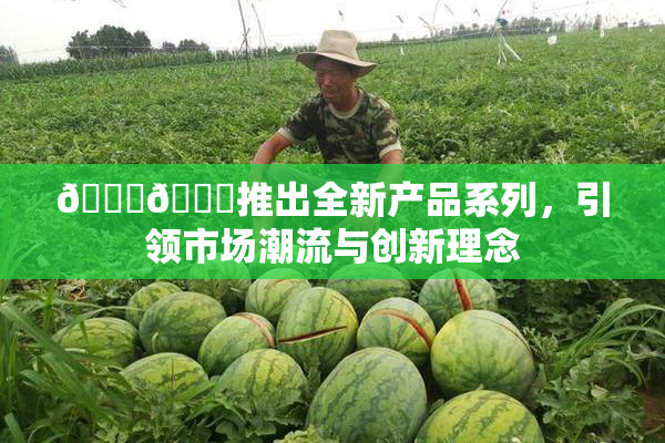 🔞🍆推出全新产品系列，引领市场潮流与创新理念