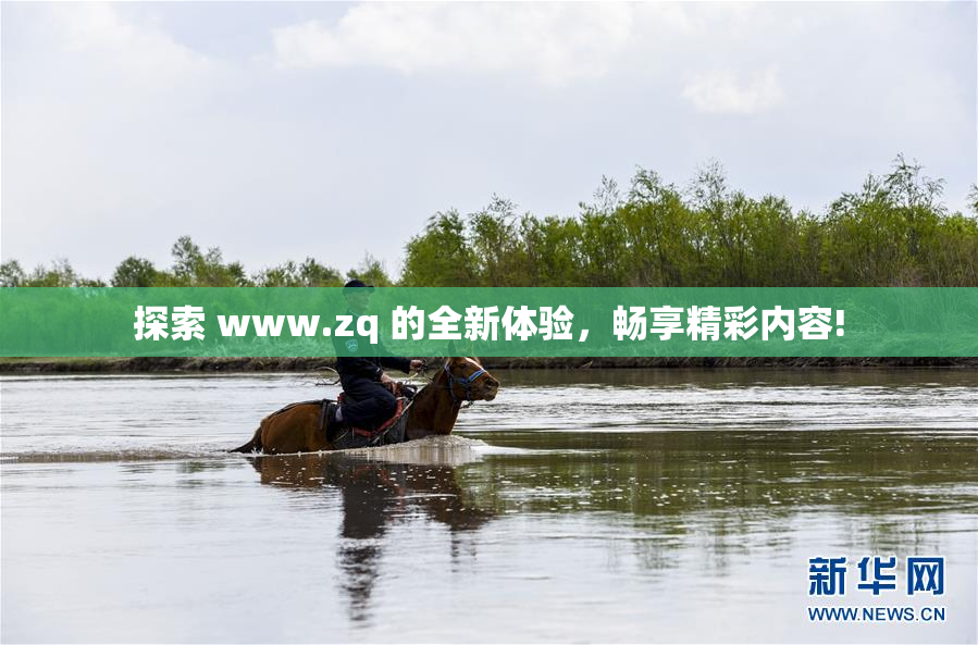 探索 www.zq 的全新体验，畅享精彩内容!