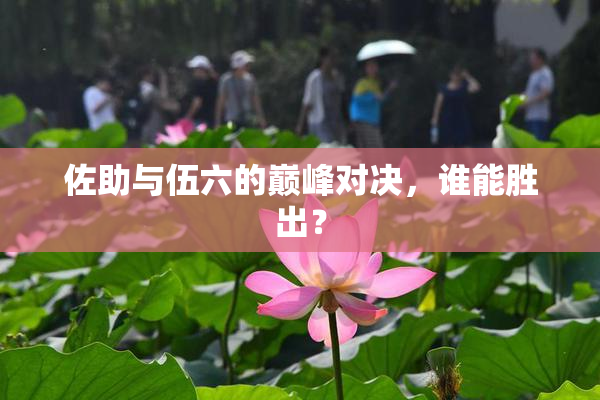 佐助与伍六的巅峰对决，谁能胜出？