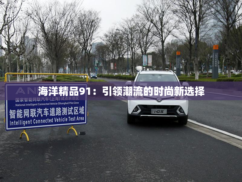 海洋精品91：引领潮流的时尚新选择
