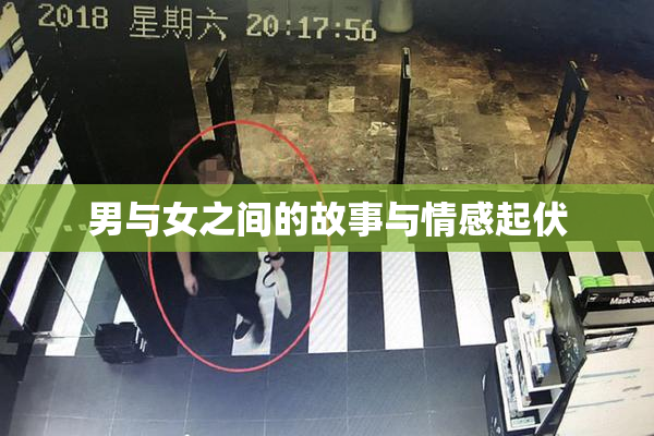 男与女之间的故事与情感起伏