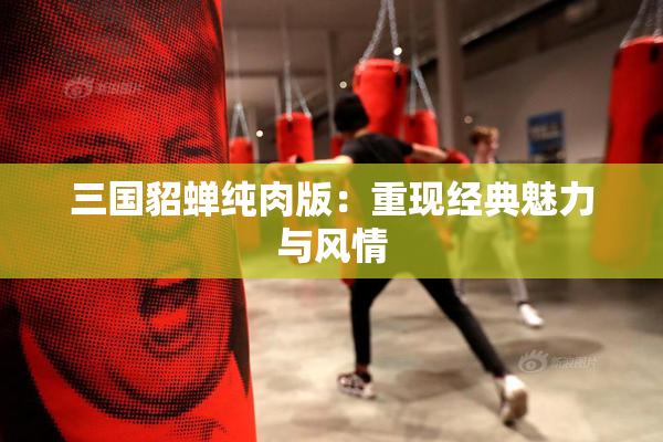 三国貂蝉纯肉版：重现经典魅力与风情
