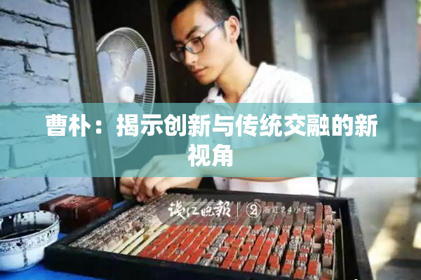 曹朴：揭示创新与传统交融的新视角