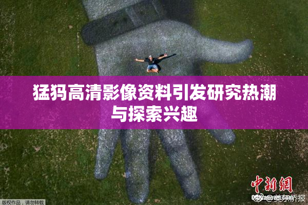 猛犸高清影像资料引发研究热潮与探索兴趣