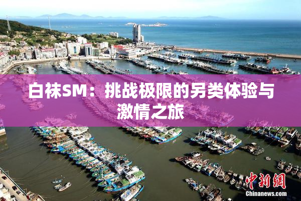 白袜SM：挑战极限的另类体验与激情之旅