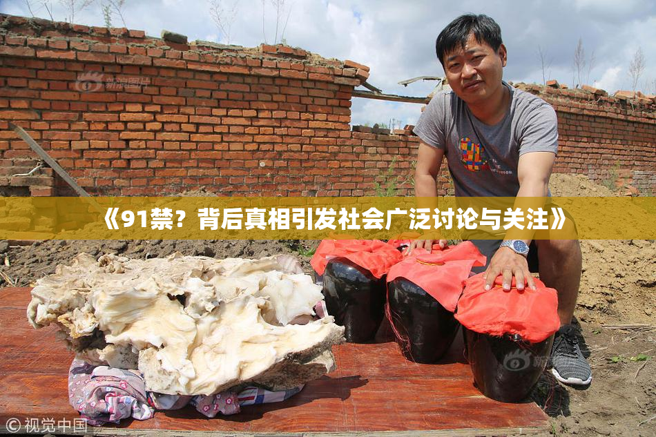 《91禁？背后真相引发社会广泛讨论与关注》