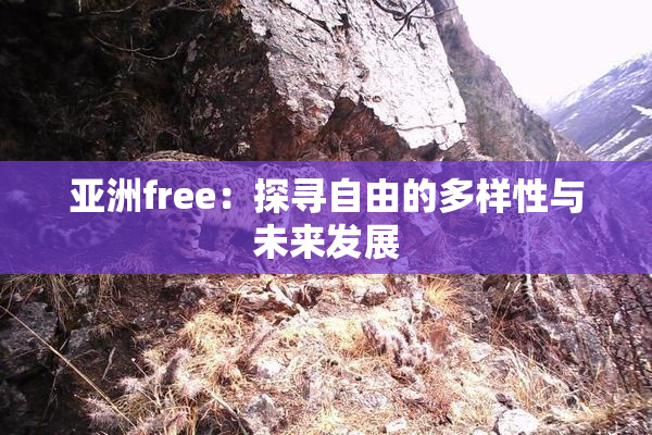 亚洲free：探寻自由的多样性与未来发展