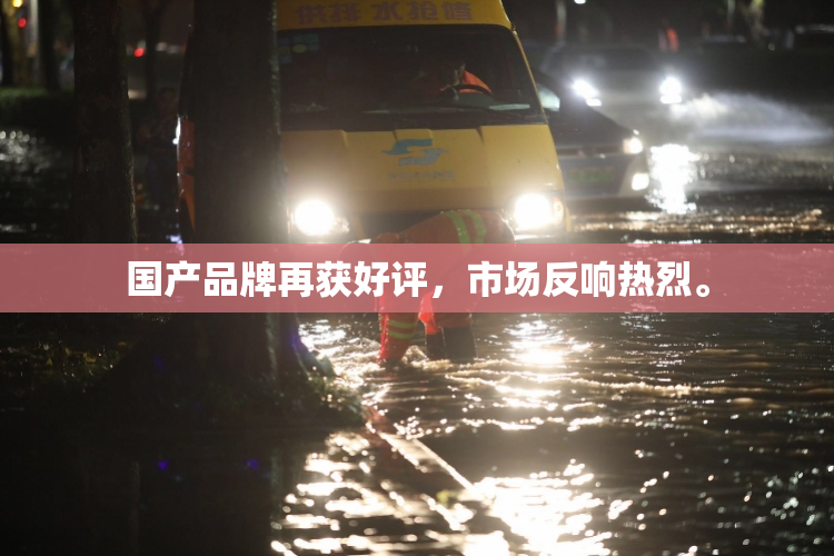 国产品牌再获好评，市场反响热烈。