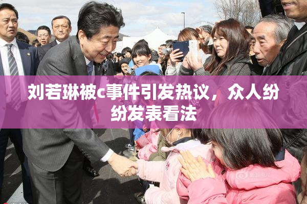 刘若琳被c事件引发热议，众人纷纷发表看法
