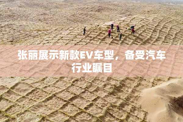 张丽展示新款EV车型，备受汽车行业瞩目