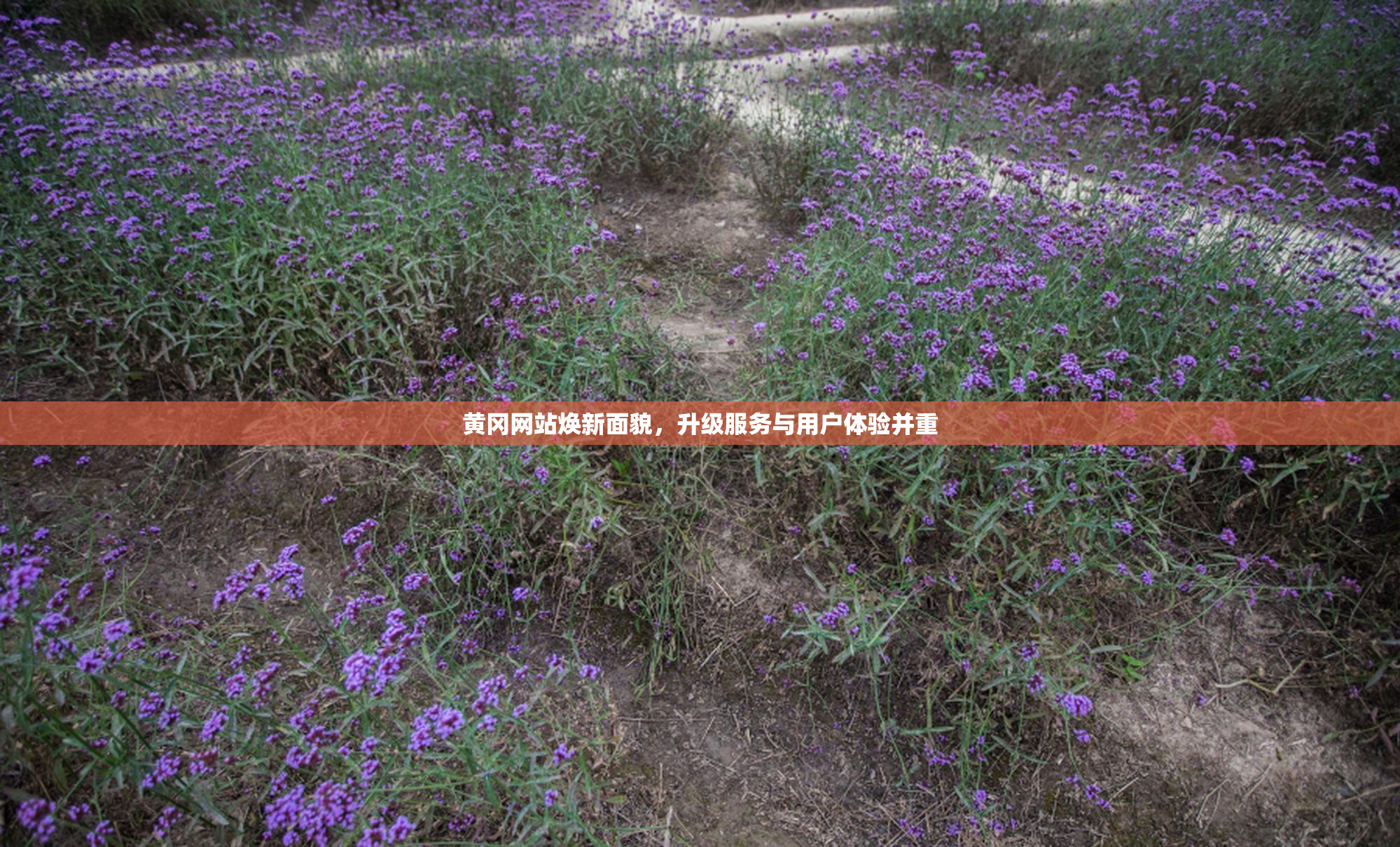 黄冈网站焕新面貌，升级服务与用户体验并重