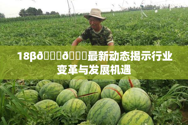 18β🍆🍑最新动态揭示行业变革与发展机遇