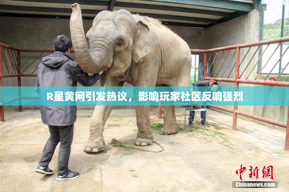 R星黄网引发热议，影响玩家社区反响强烈