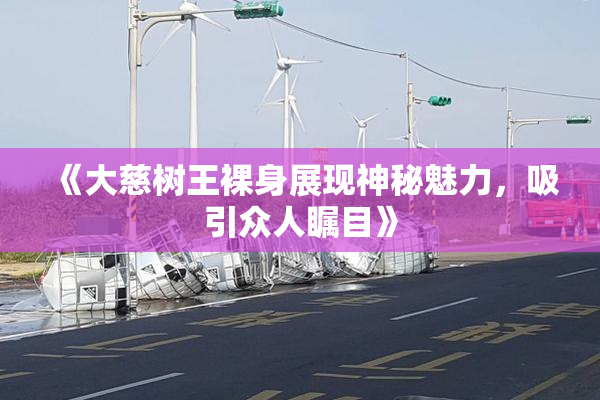 《大慈树王裸身展现神秘魅力，吸引众人瞩目》