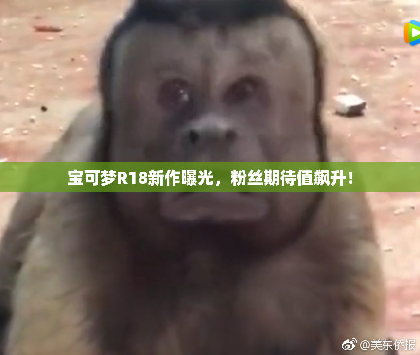 宝可梦R18新作曝光，粉丝期待值飙升！