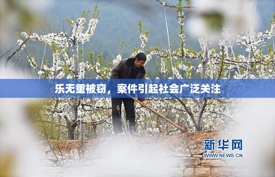 乐无重被窃，案件引起社会广泛关注