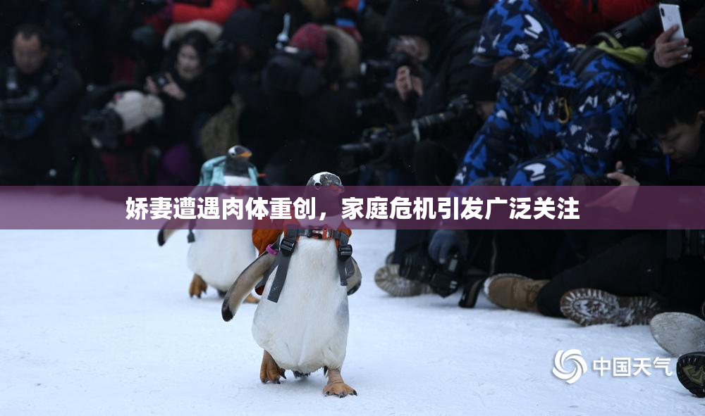 娇妻遭遇肉体重创，家庭危机引发广泛关注
