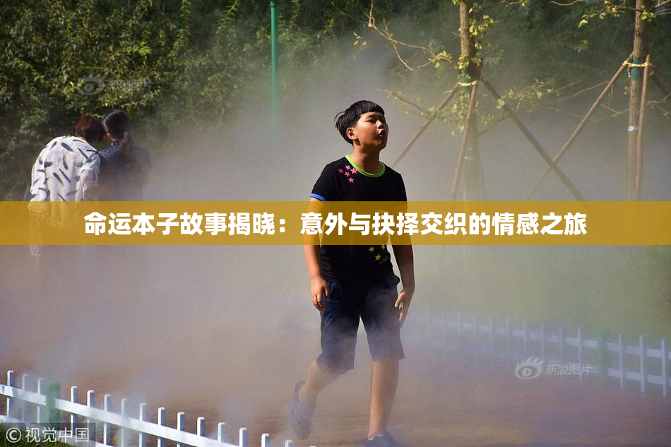 命运本子故事揭晓：意外与抉择交织的情感之旅