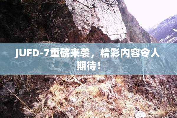 JUFD-7重磅来袭，精彩内容令人期待！