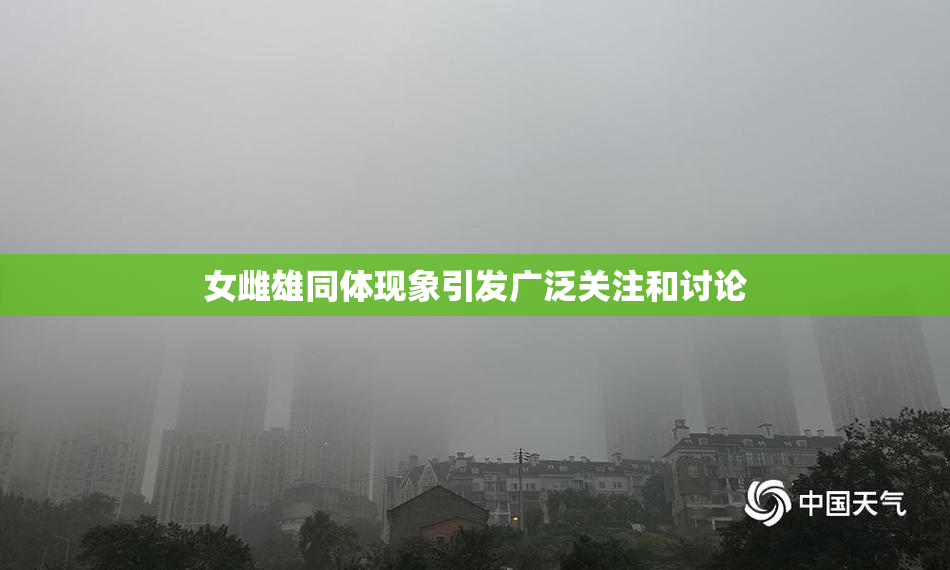 女雌雄同体现象引发广泛关注和讨论