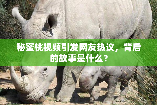 秘蜜桃视频引发网友热议，背后的故事是什么？