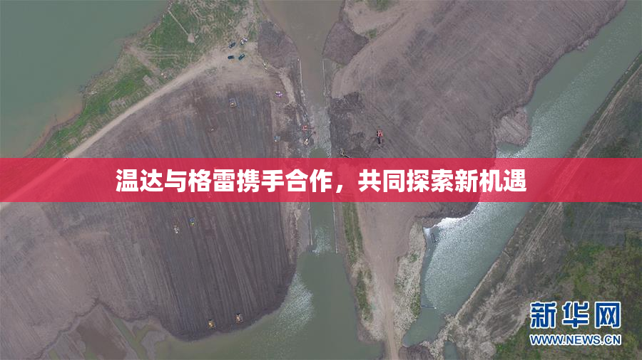 温达与格雷携手合作，共同探索新机遇