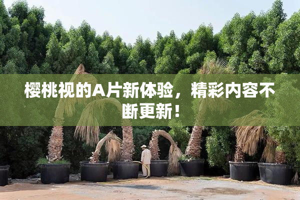 樱桃视的A片新体验，精彩内容不断更新！