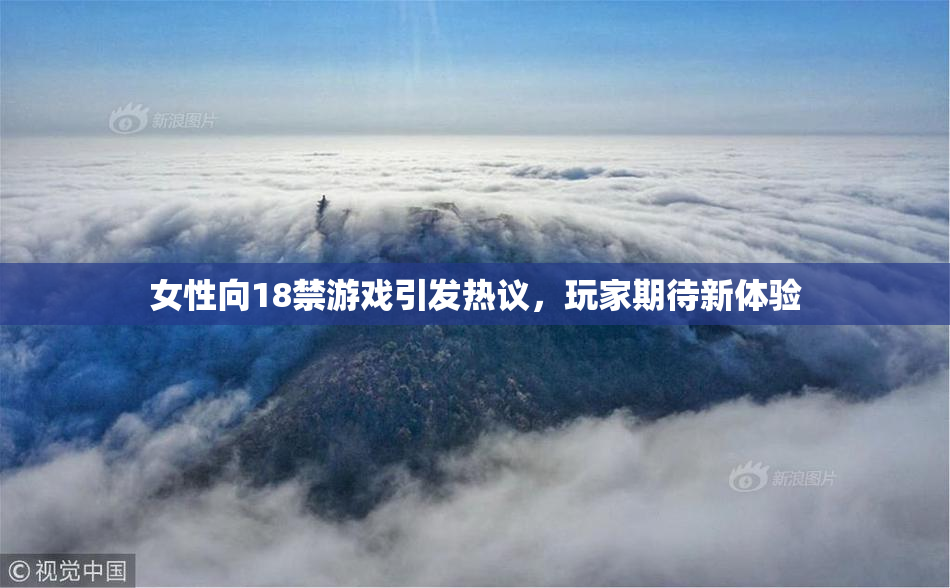 女性向18禁游戏引发热议，玩家期待新体验