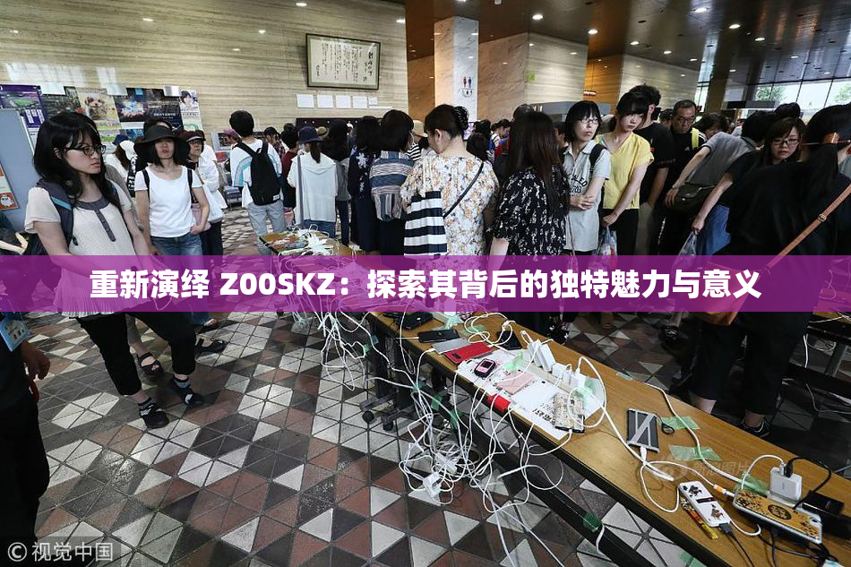 重新演绎 Z00SKZ：探索其背后的独特魅力与意义